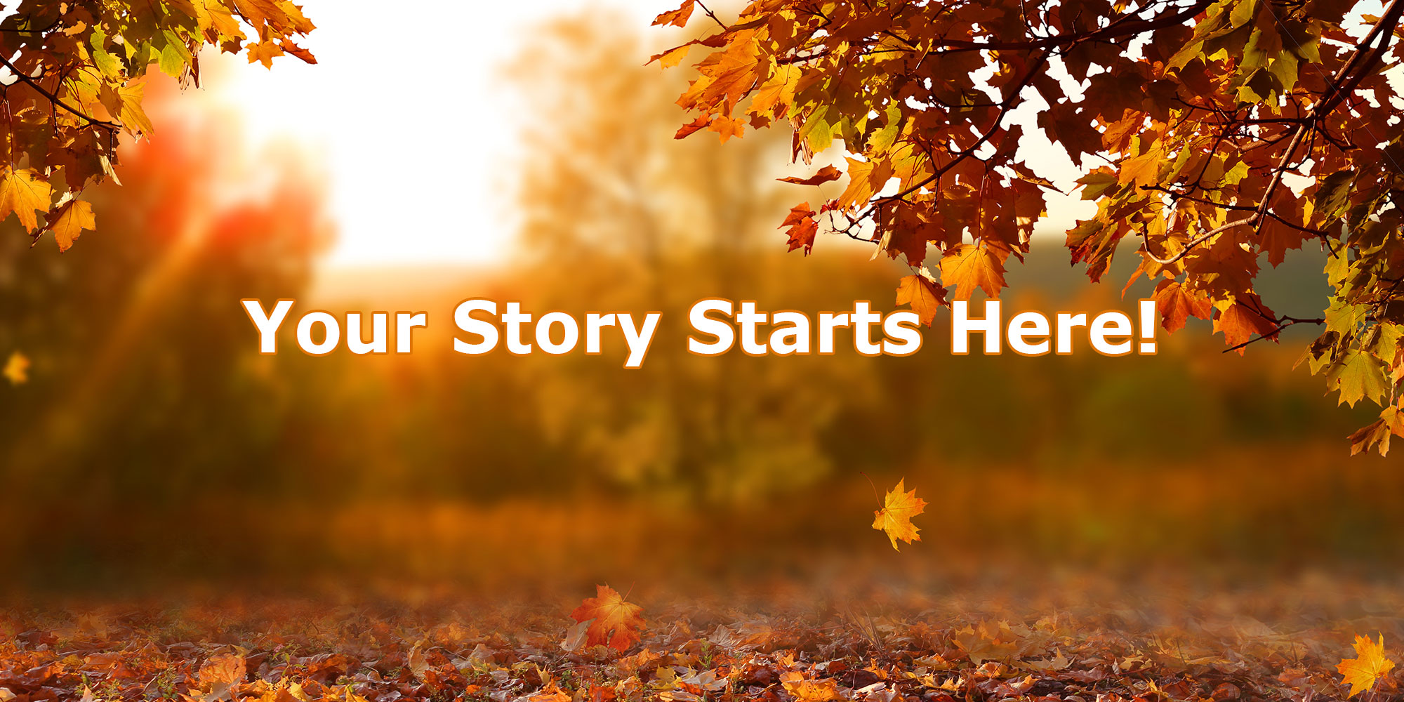 Your Story Starts Here!