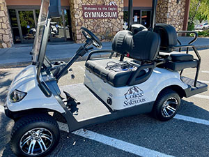 ADA golf cart